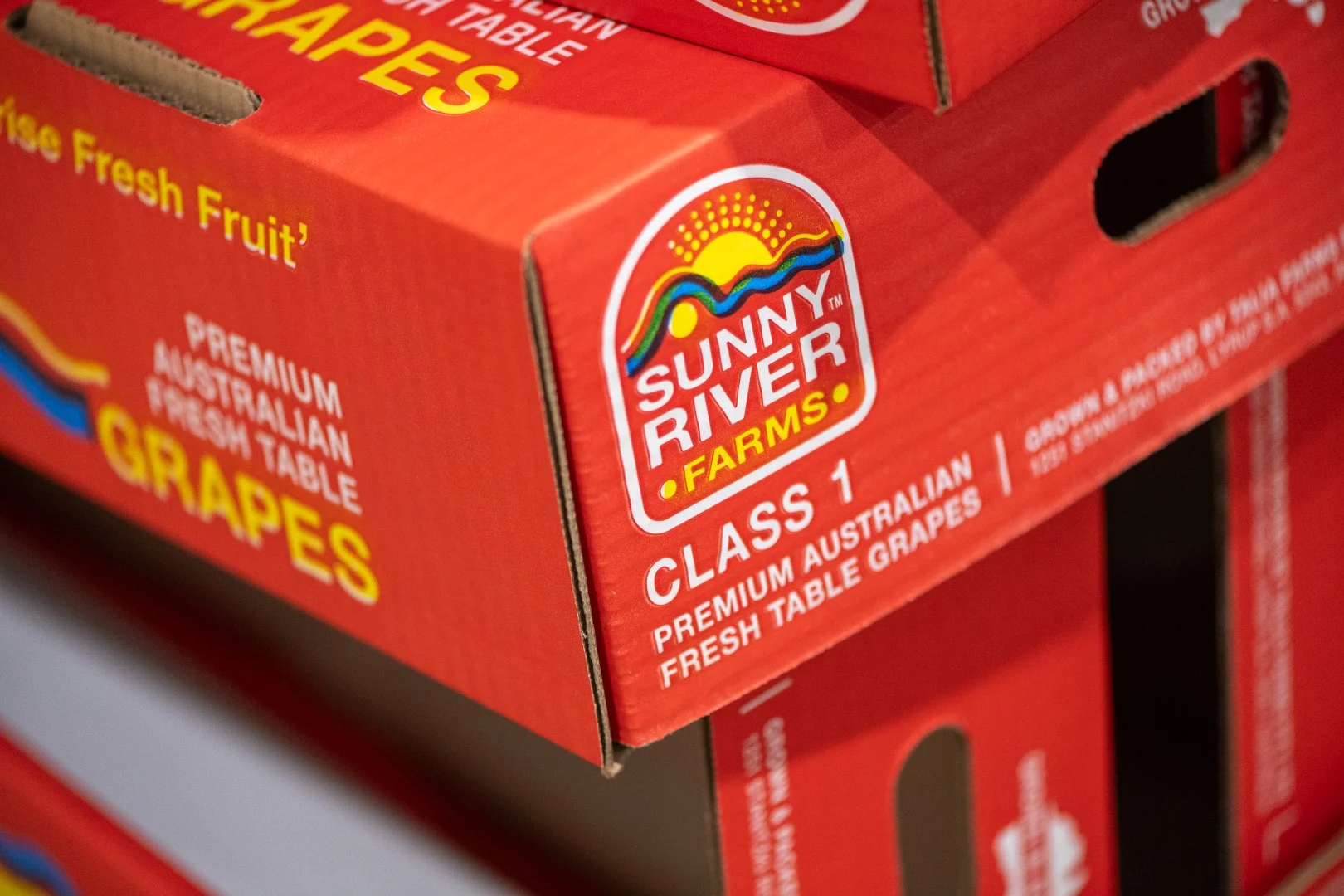 Additional image 5 of 1251 Stanitzki Road, Pike River SA 5340