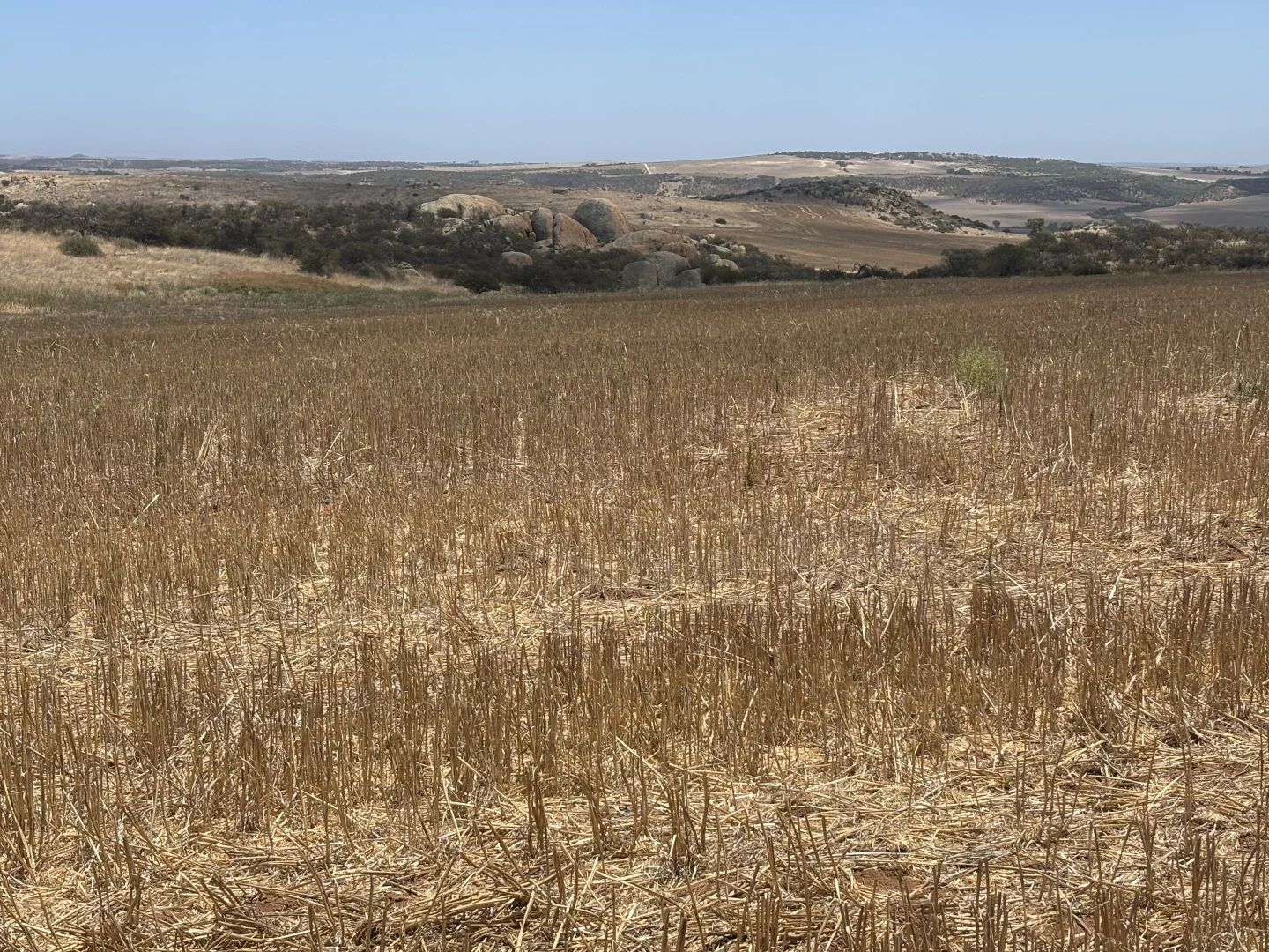 Additional image 20 of Lot 65 Forrester Road, Mount Erin WA 6532