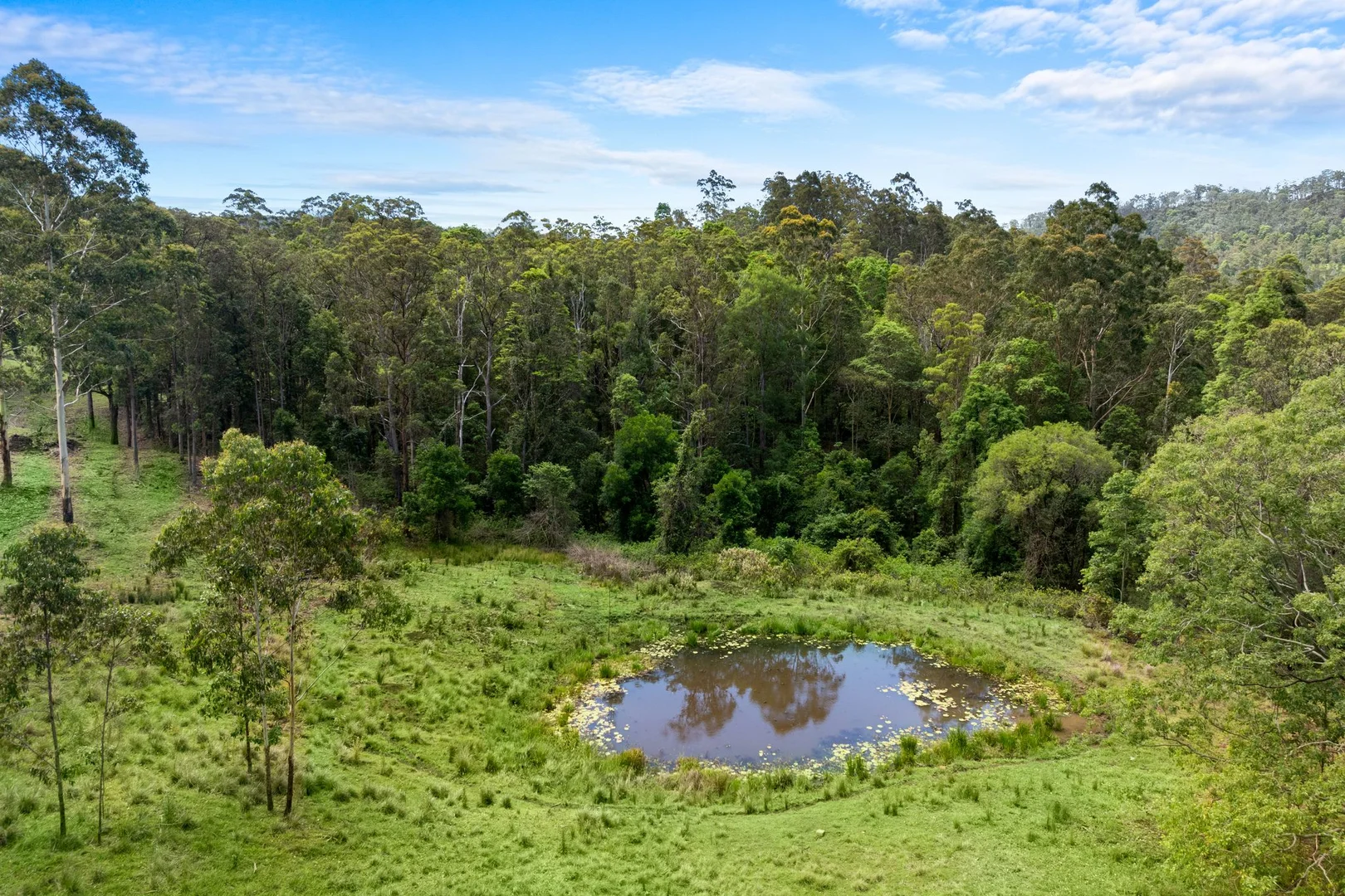 Additional image 23 of 737 Smiths Creek Road, Smiths Creek, Kyogle NSW 2474