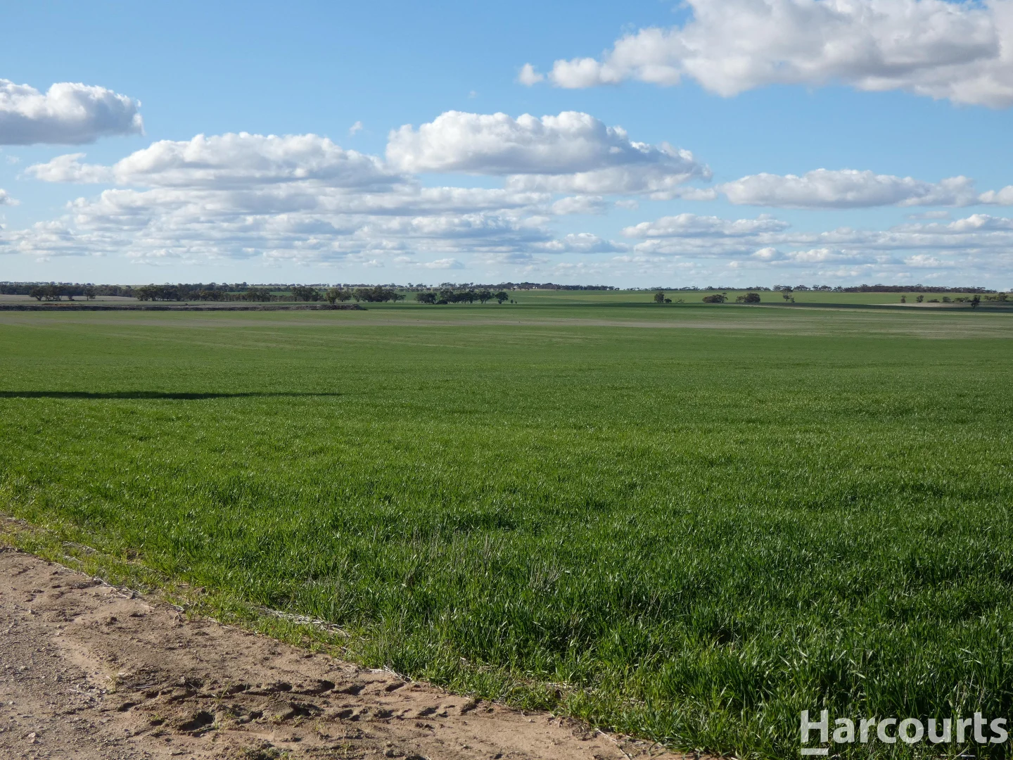 Additional image 36 of 4429 Hopetoun-Rainbow Road, Rainbow VIC 3424