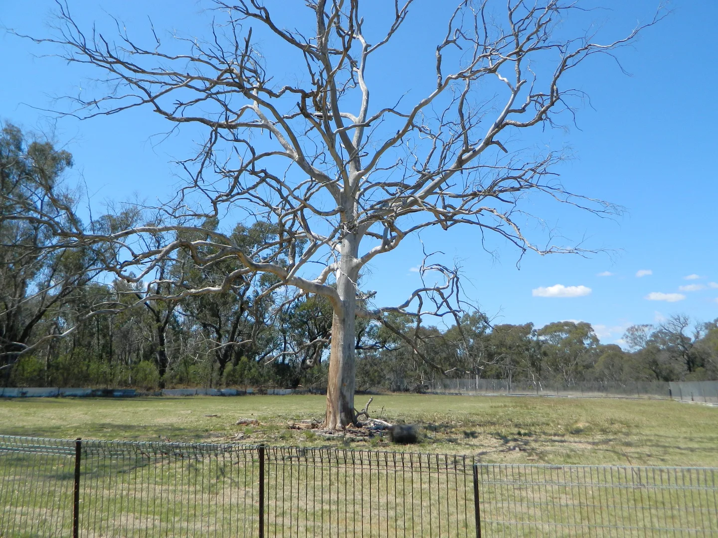 Additional image 38 of 485 Reedy Creek Road, Rylstone NSW 2849