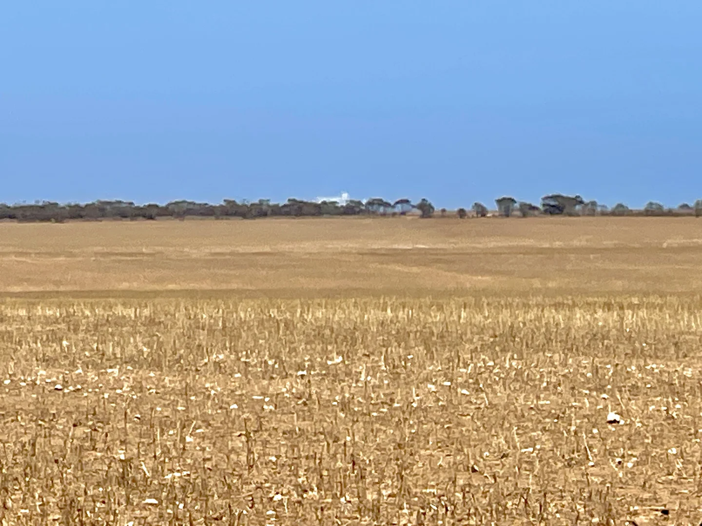 Additional image 25 of 1266 OTC Road, Wandana SA 5690