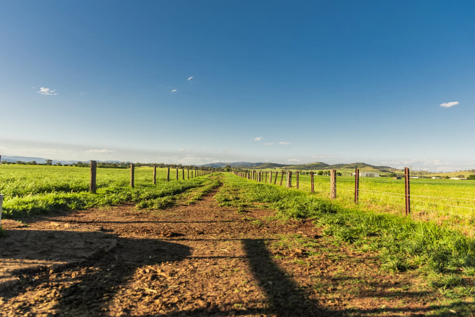 Additional image 31 of "Runnymeade" 80 Blairmore Lane, Aberdeen NSW 2336