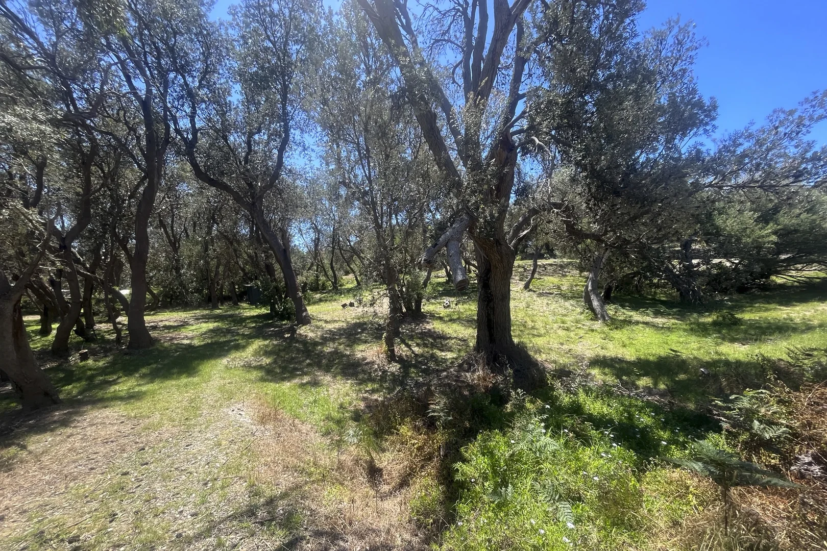 Additional image 10 of 42 Fairway Avenue, Golden Beach VIC 3851