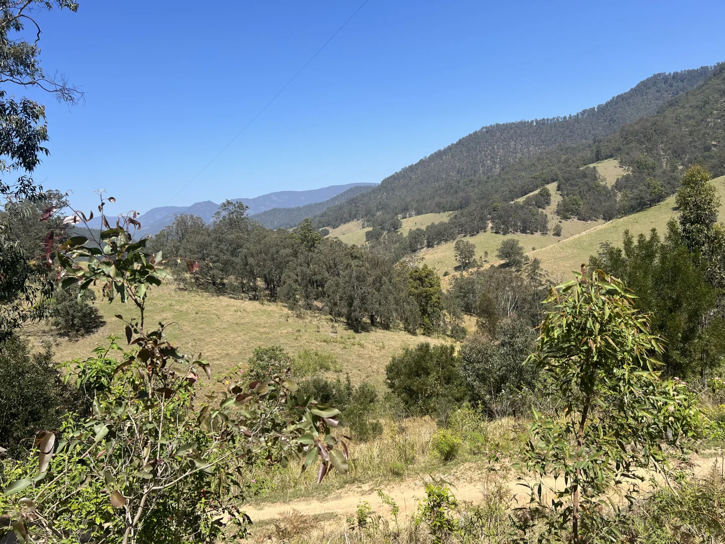 Additional image 25 of 179 Petroi Road, Lower Creek NSW 2440