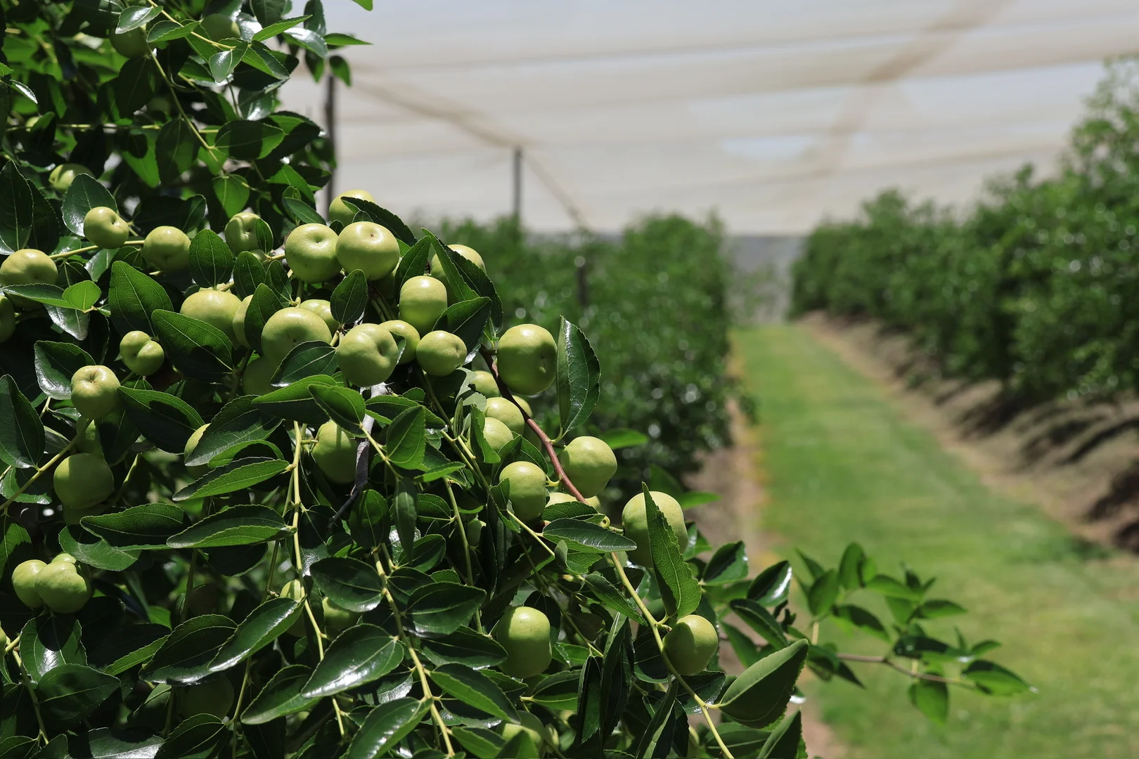 Additional image 5 of 42 Noakes Road, Traveston QLD 4570