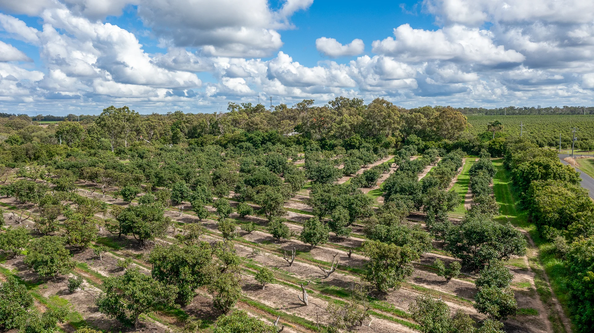 Additional image 19 of 154 Foleys Road, North Gregory QLD 4660