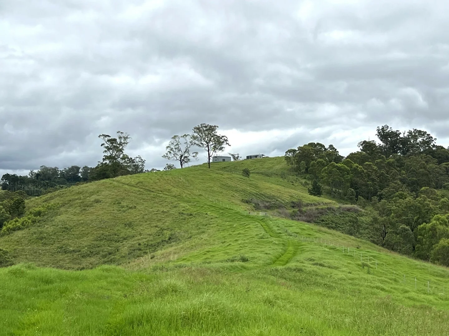 Additional image 42 of 59 Wyndham Road, Wyneden NSW 2474