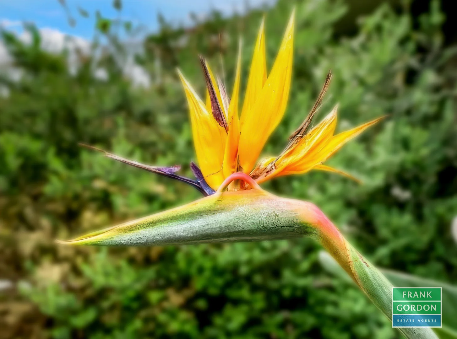 Additional image 19 of 337 Howe Parade, Port Melbourne VIC 3207