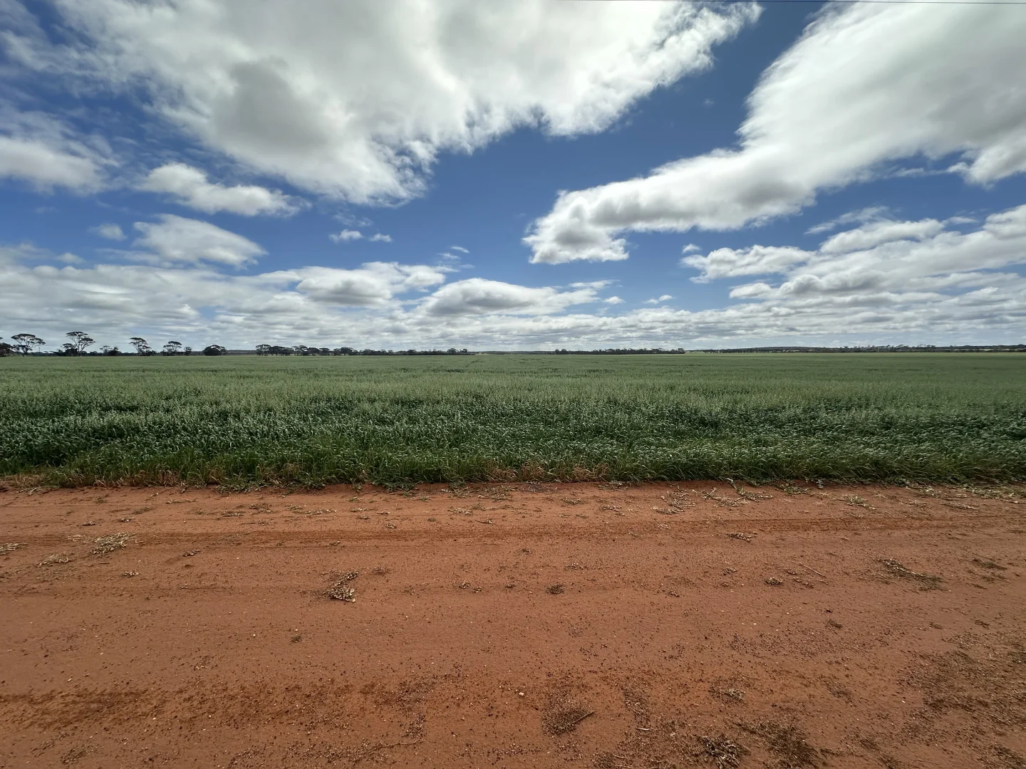 Additional image 18 of 3279 Calzoni Road, Hyden WA 6359