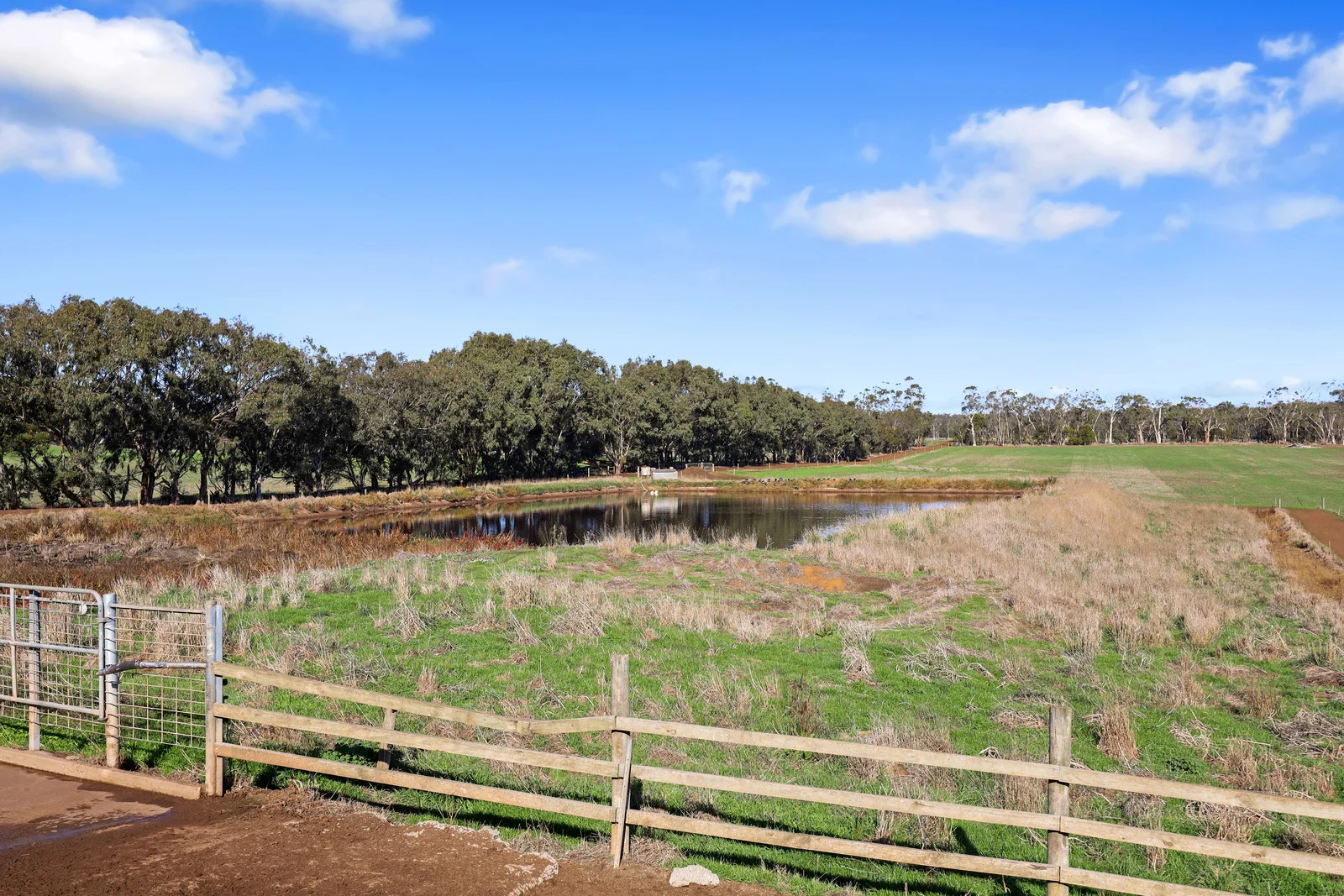 Additional image 22 of 140 Savins Road, Condah VIC 3303
