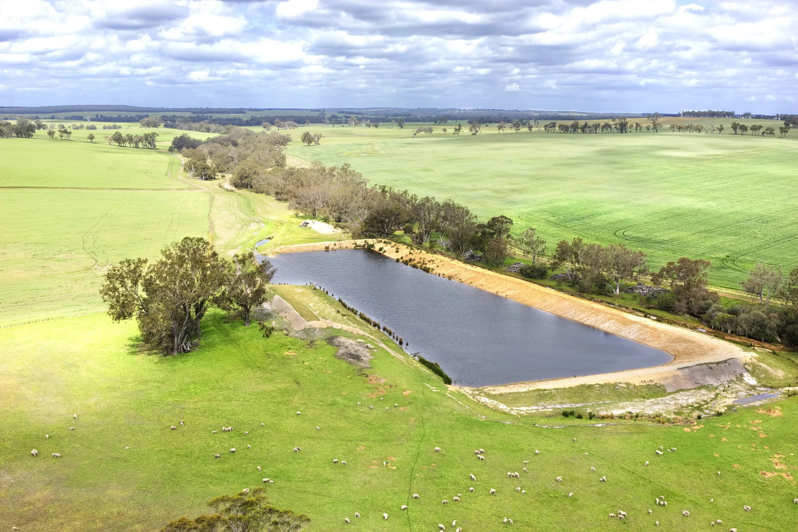 Additional image 9 of Blackwattle and Russell Road, West Cape Howe, Hay Shed Hill and wineries, Frankland River WA 6396