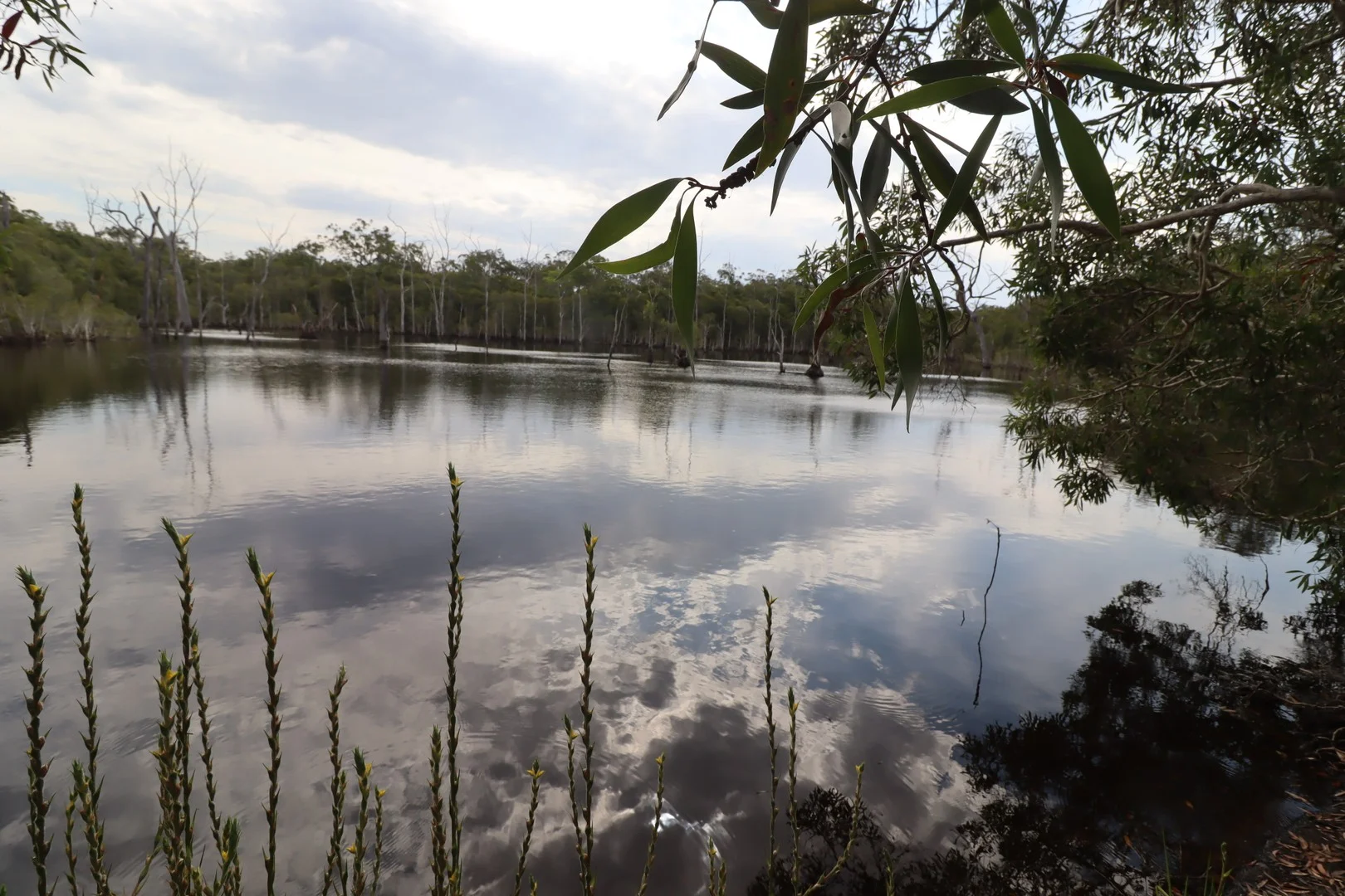 107 Petersens Road, Yandaran QLD 4673