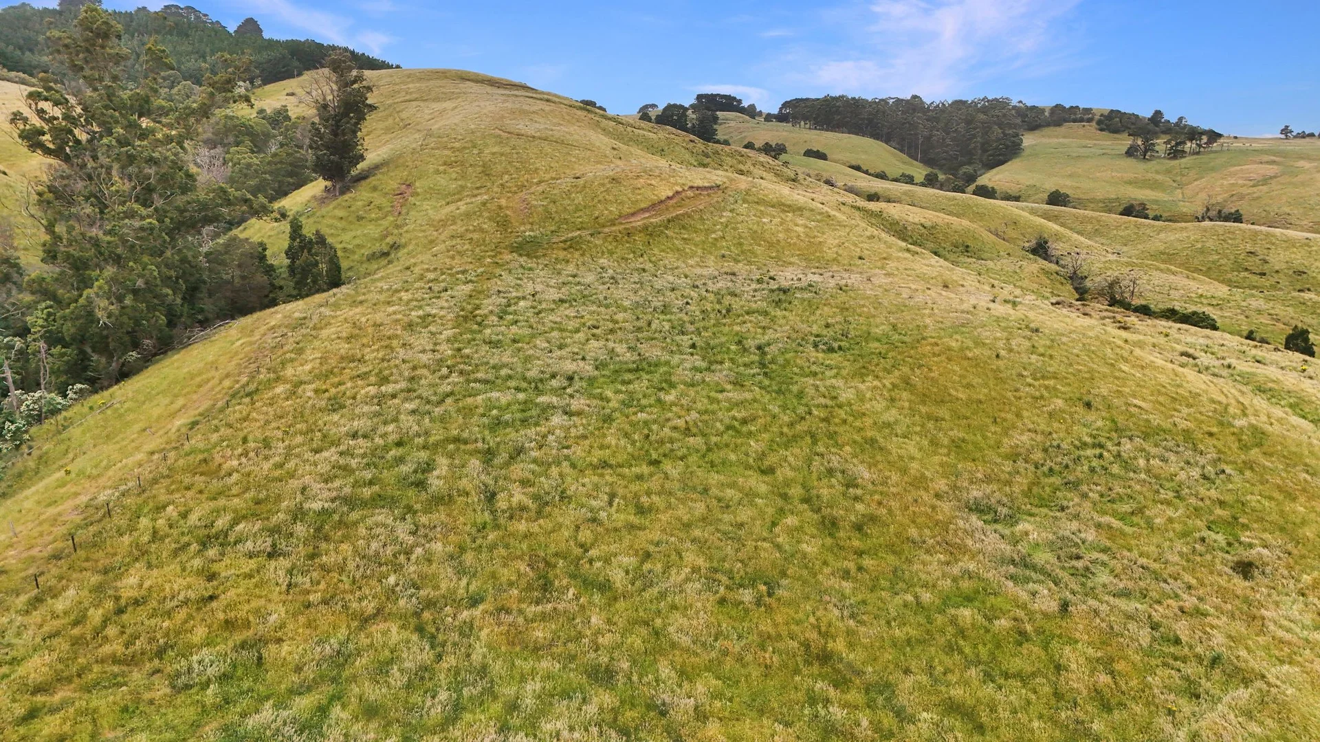 Additional image 10 of 160 Hollins Road, Trida VIC 3953