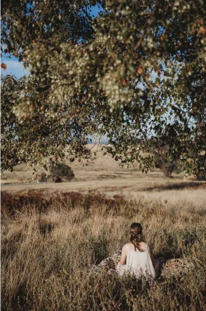 Additional image 15 of 366 Pride of Oak Road, Canowindra NSW 2804