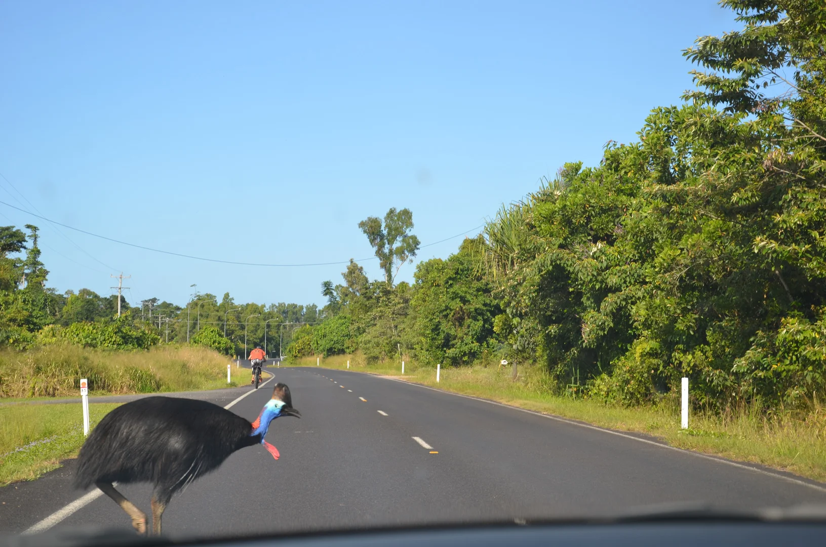 Additional image 26 of 4/18-20 Reid Road, Wongaling Beach QLD 4852