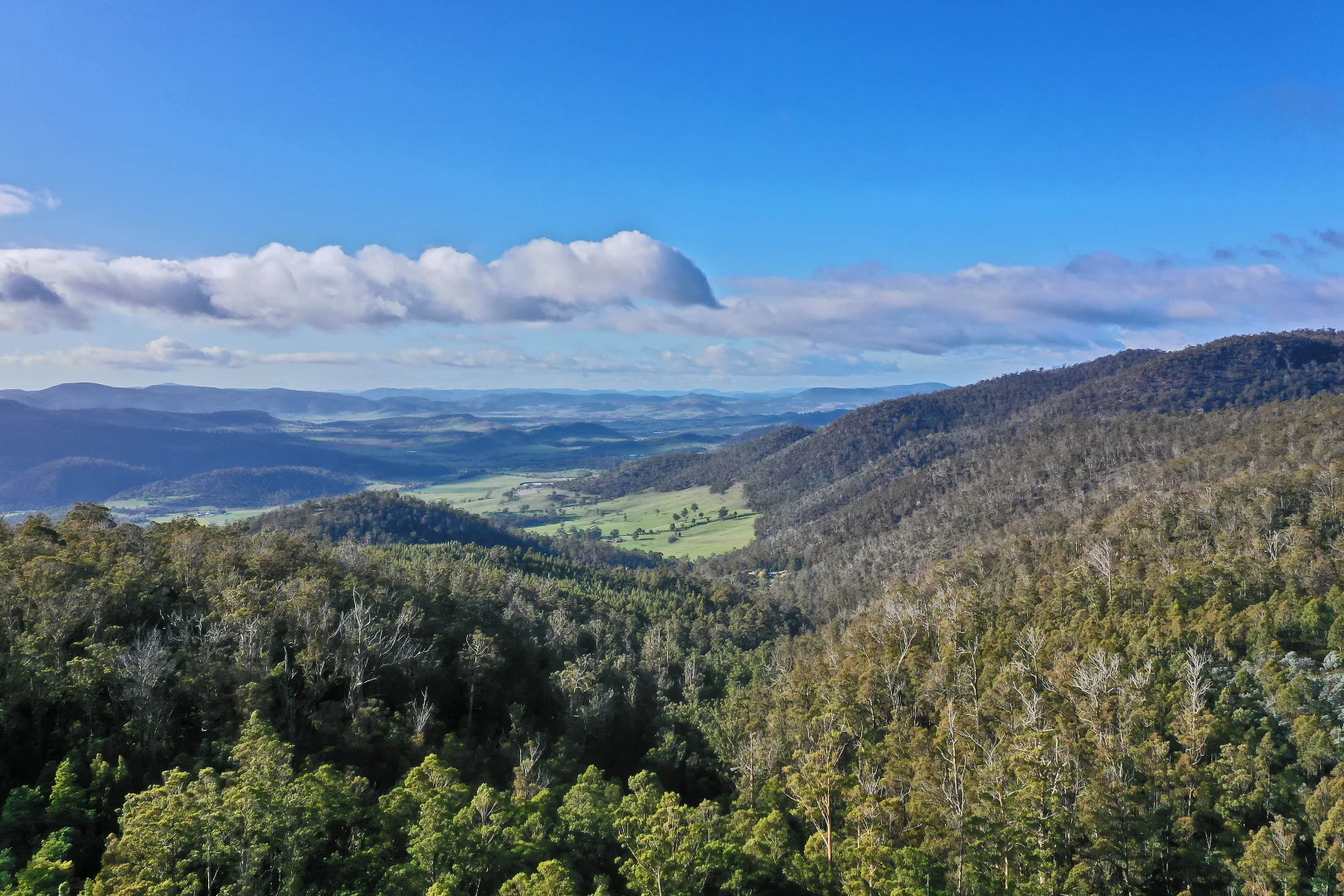 Additional image 20 of 319 Yearsley Road, Broadmarsh TAS 7030