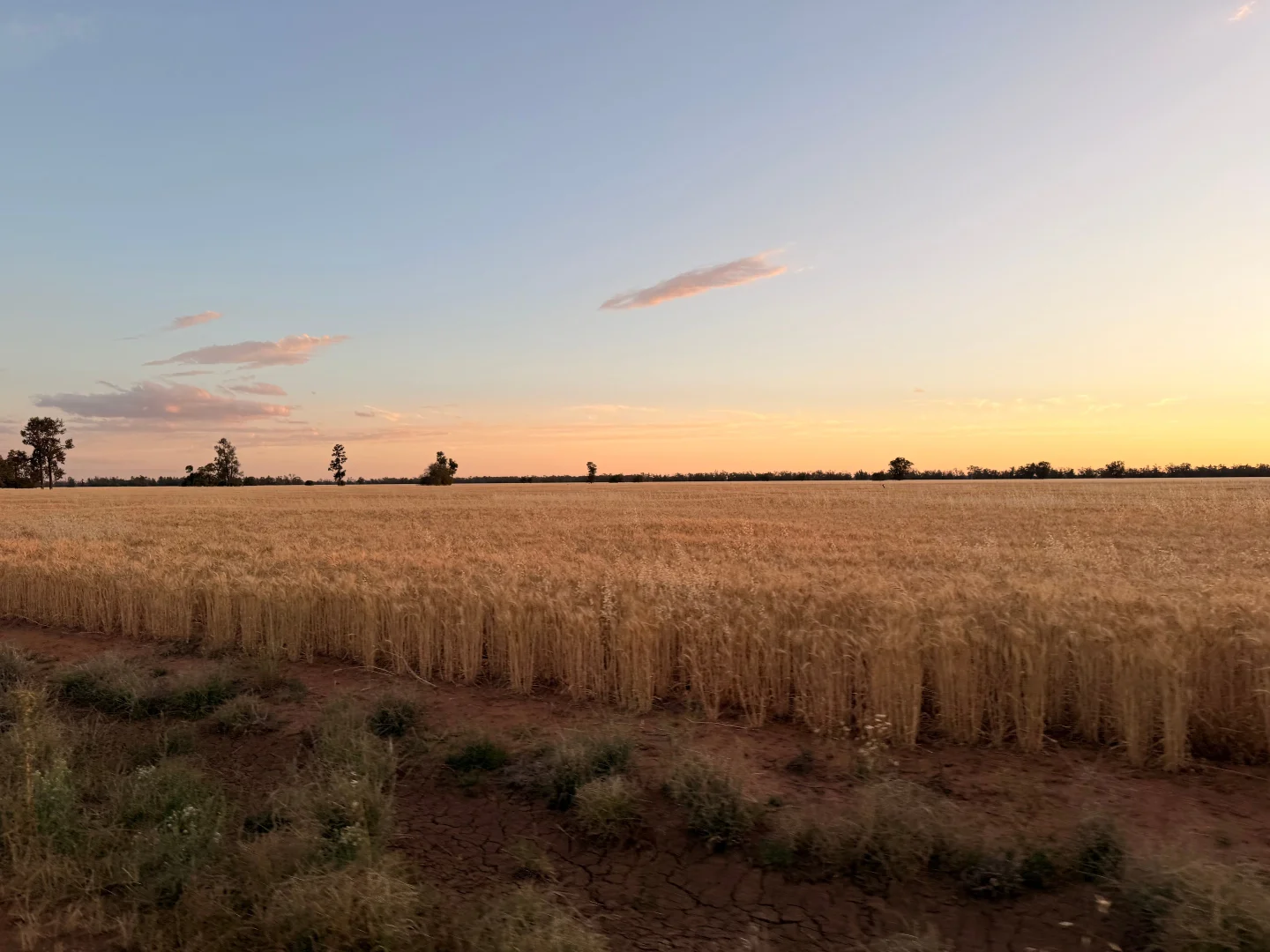 Additional image 5 of Buddabadah NSW 2825