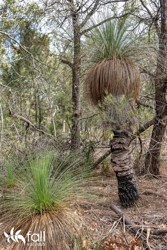 Additional image 7 of 954 Killora Road, North Bruny TAS 7150