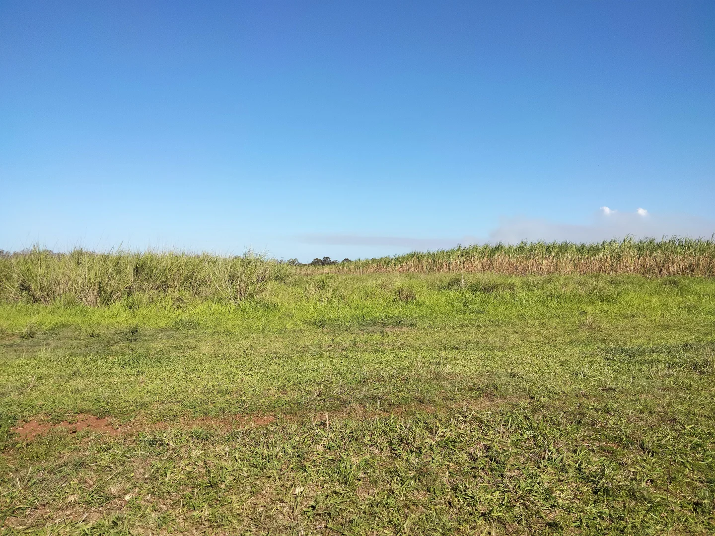 Additional image 59 of 2913 Rosedale Road, Yandaran QLD 4673