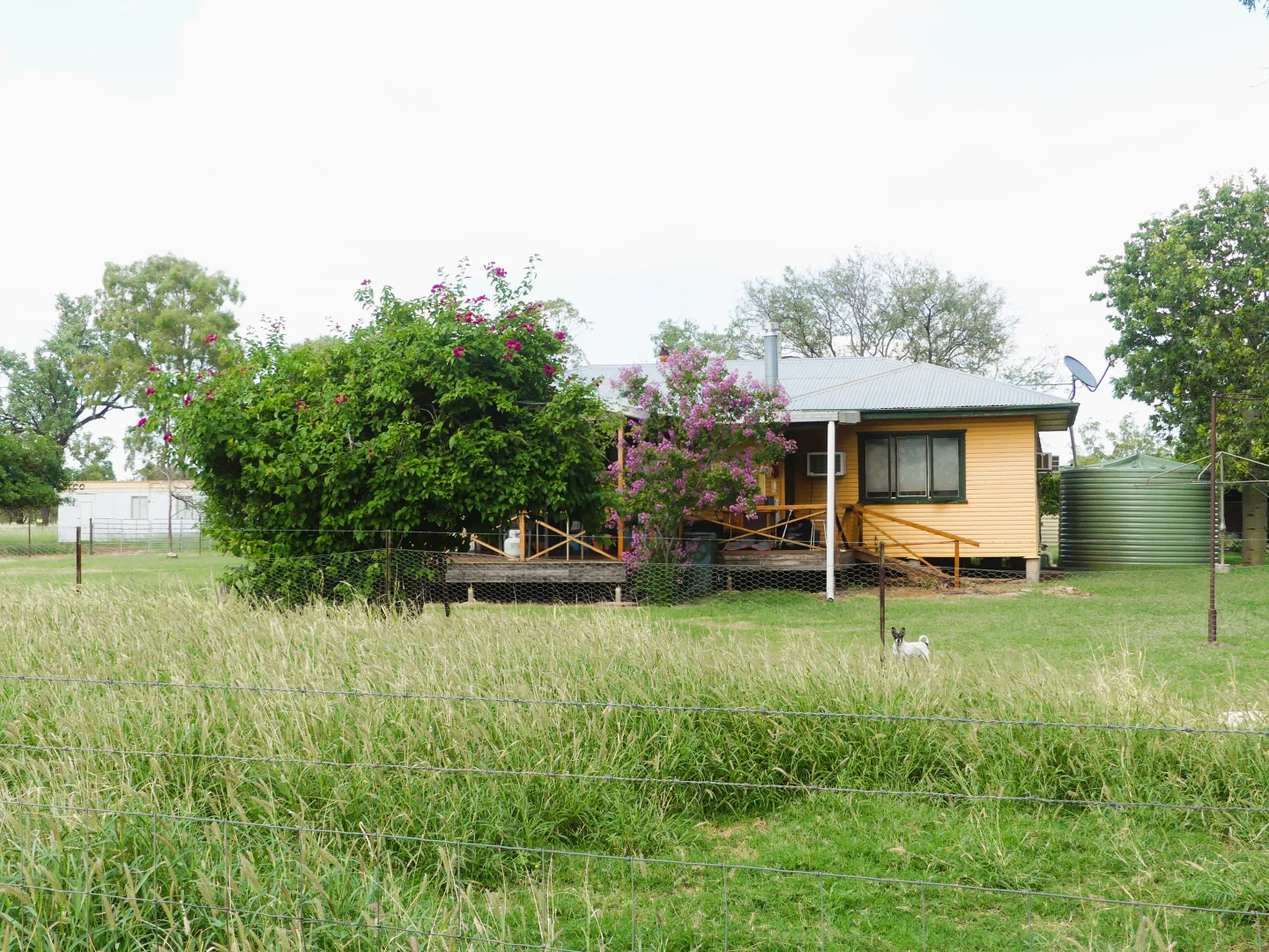 Additional image 11 of 'Gundi' 19181 Carnarvon Highway Highway, Surat QLD 4417