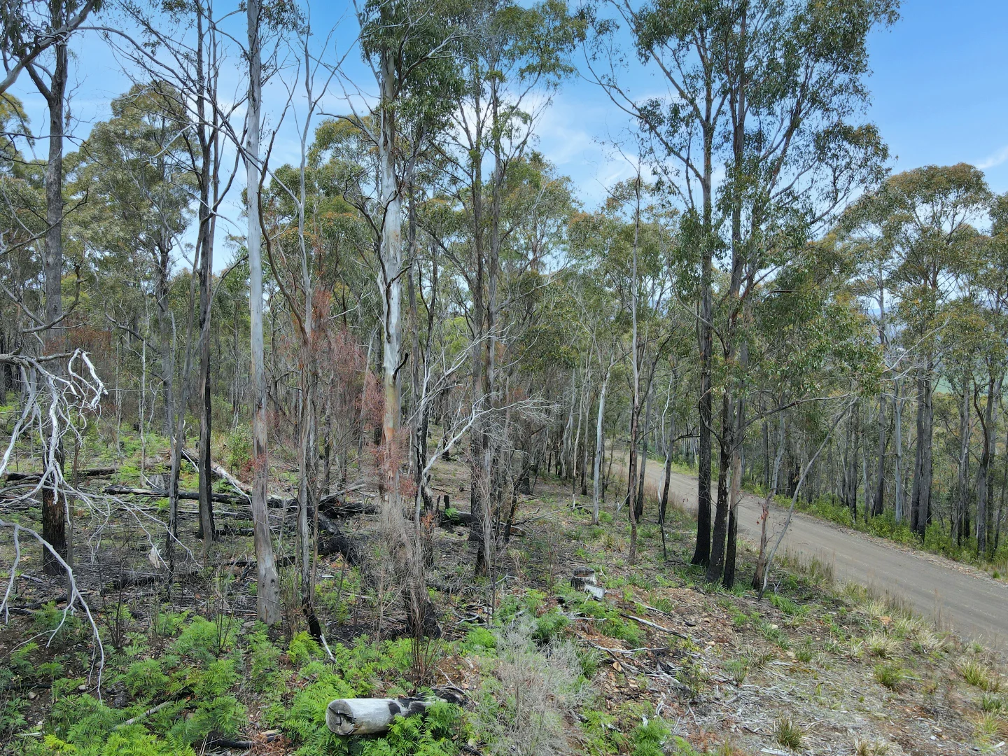 Additional image 4 of 123 German Town, St Marys TAS 7215