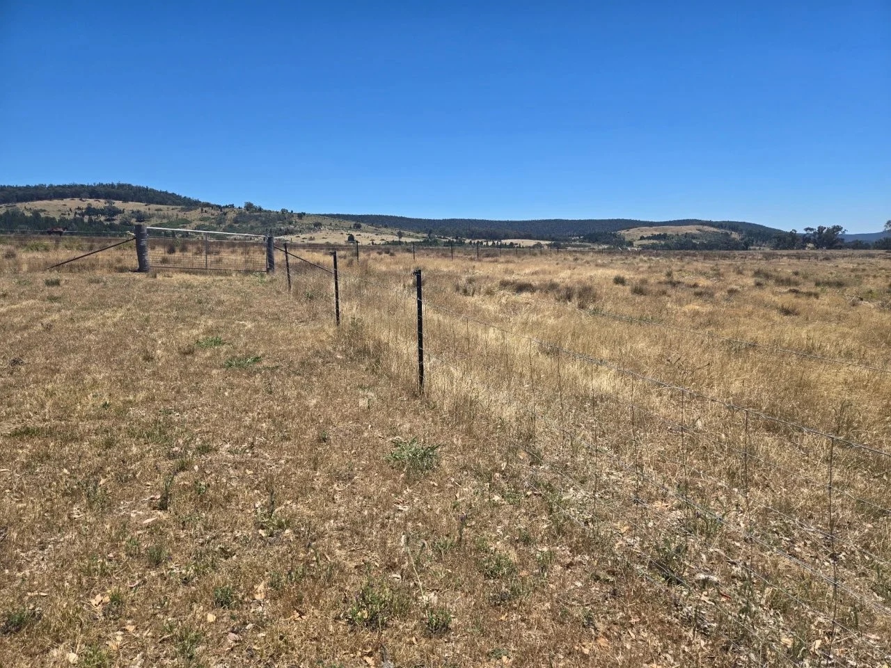 Additional image 19 of "Abercorn", 2154 Kangarooby Road, Gooloogong NSW 2805