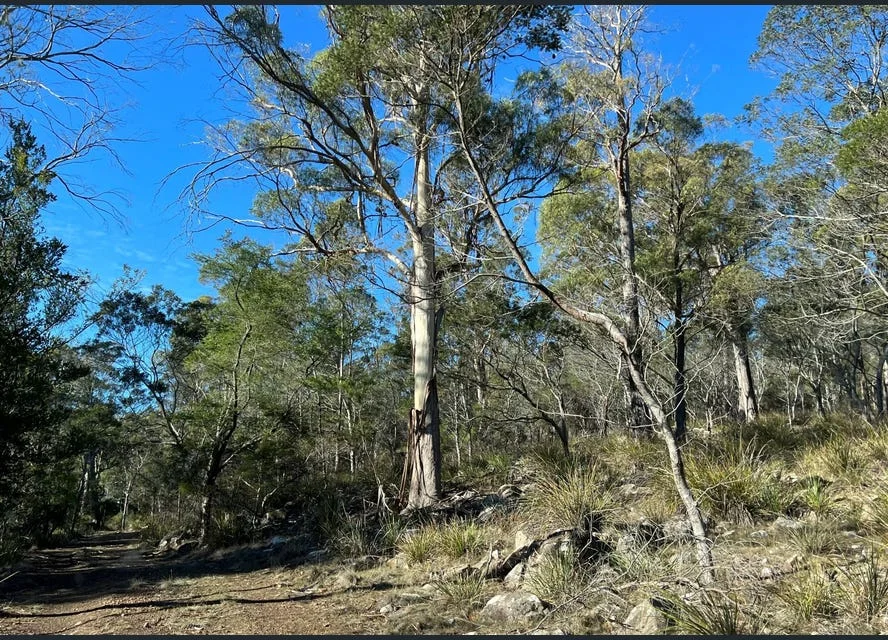 Additional image 11 of 2204 East Tamar Highway, Mount Direction TAS 7252