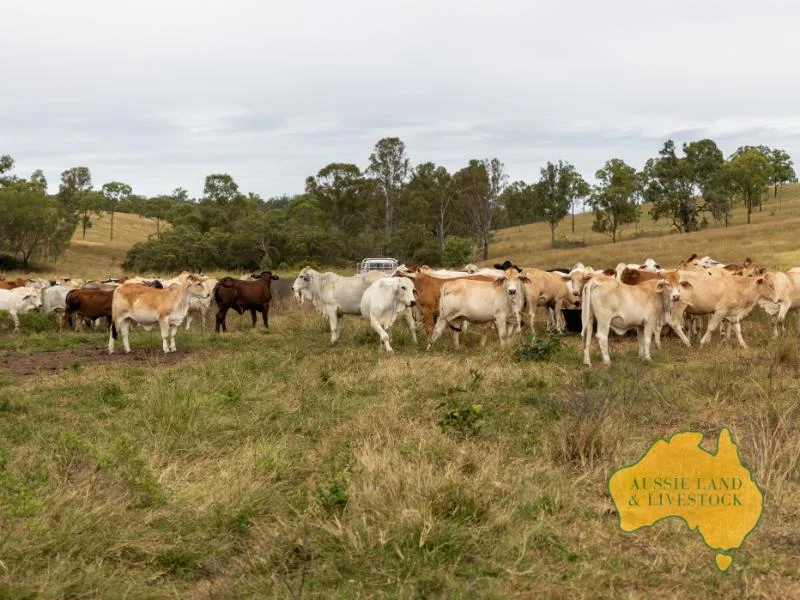 Additional image 8 of 0 "Tracey's" & "Green Gully", Monto - Mount Perry Road, Mount Perry QLD 4671
