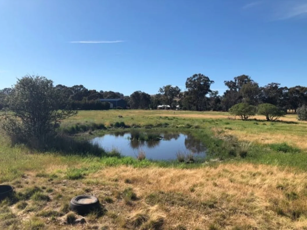 Additional image 8 of 73 Murray Street, Violet Town VIC 3669