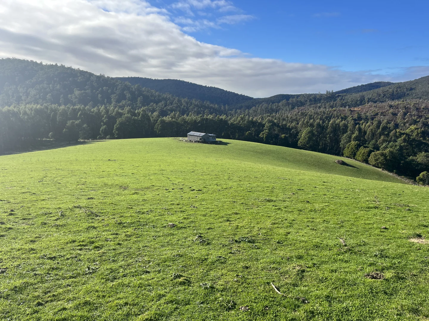 Additional image 10 of . Powers Road, Pyengana TAS 7216