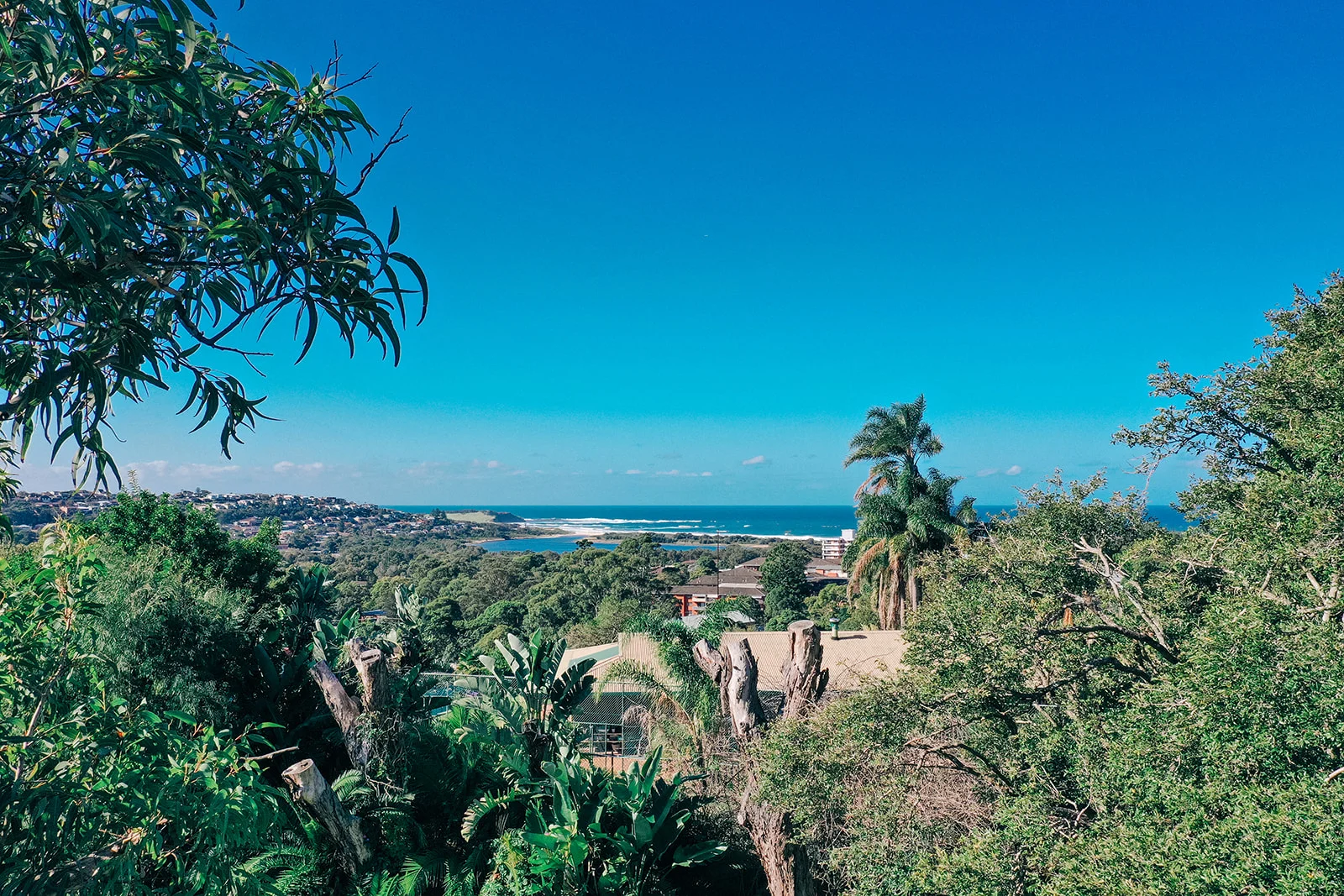 Additional image 3 of 14 High Street, Dee Why NSW 2099