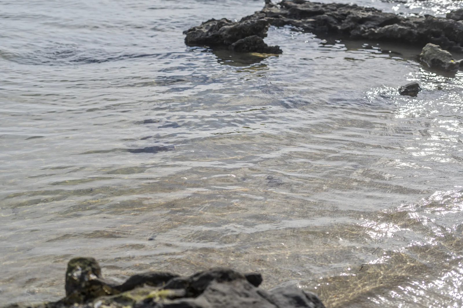 Additional image 53 of 18 Oxley Parade, Dunwich QLD 4183