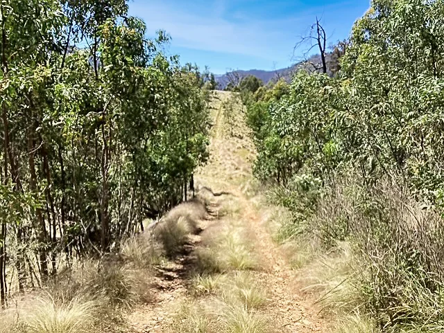 Additional image 25 of 160 Hawkes Road, Taralga NSW 2580