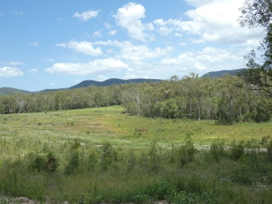 Additional image 30 of Lot 41 Moolyung Road, Waterloo QLD 4673