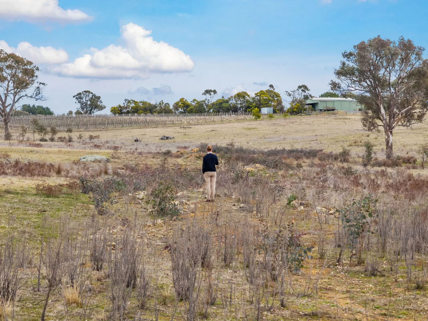 Additional image 10 of 10 Ryslipp Dr, Murrumbateman NSW 2582