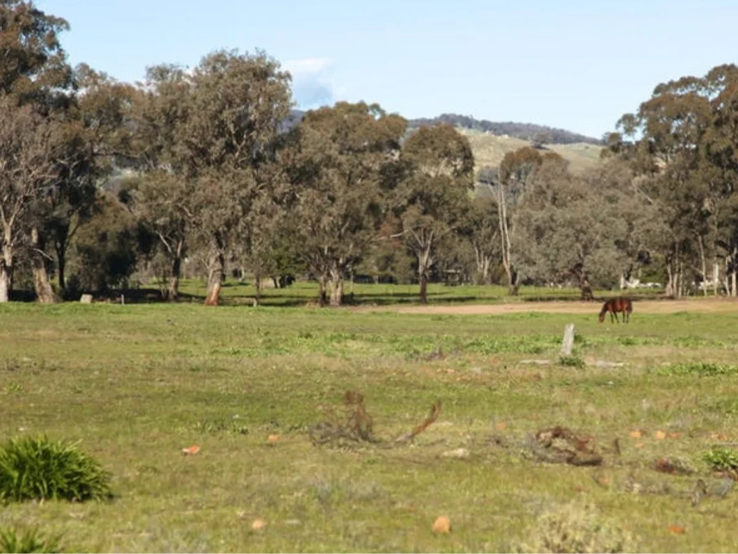 Additional image 3 of 73 Murray Street, Violet Town VIC 3669