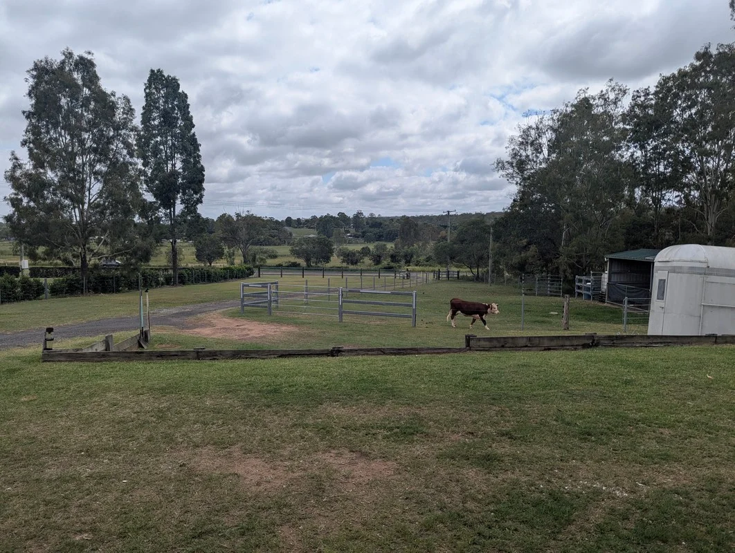 Additional image 4 of 87 Gehrke Road, Glenore Grove QLD 4342