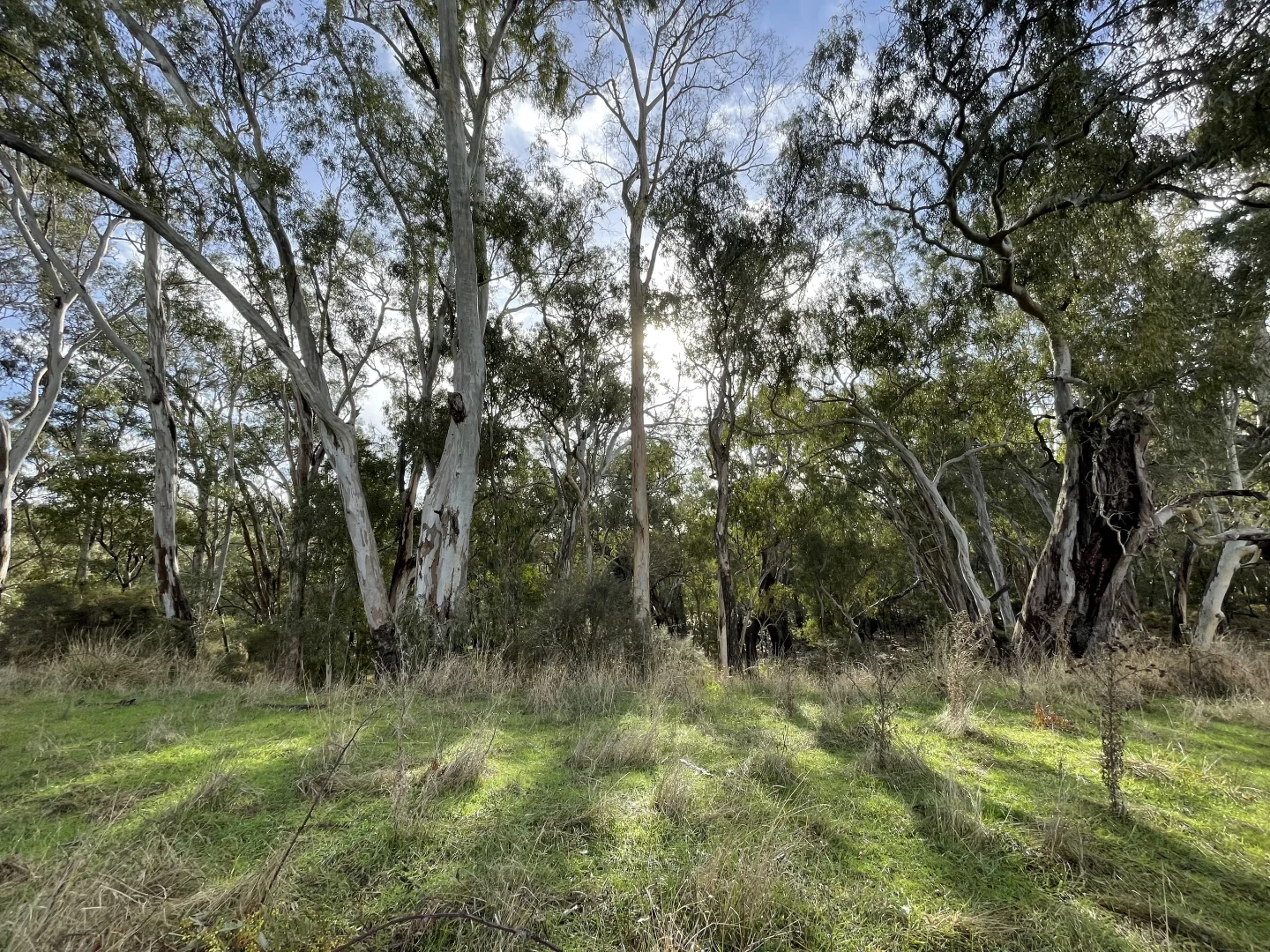 Additional image 4 of Dartmoor-Hamilton Road, Dartmoor VIC 3304