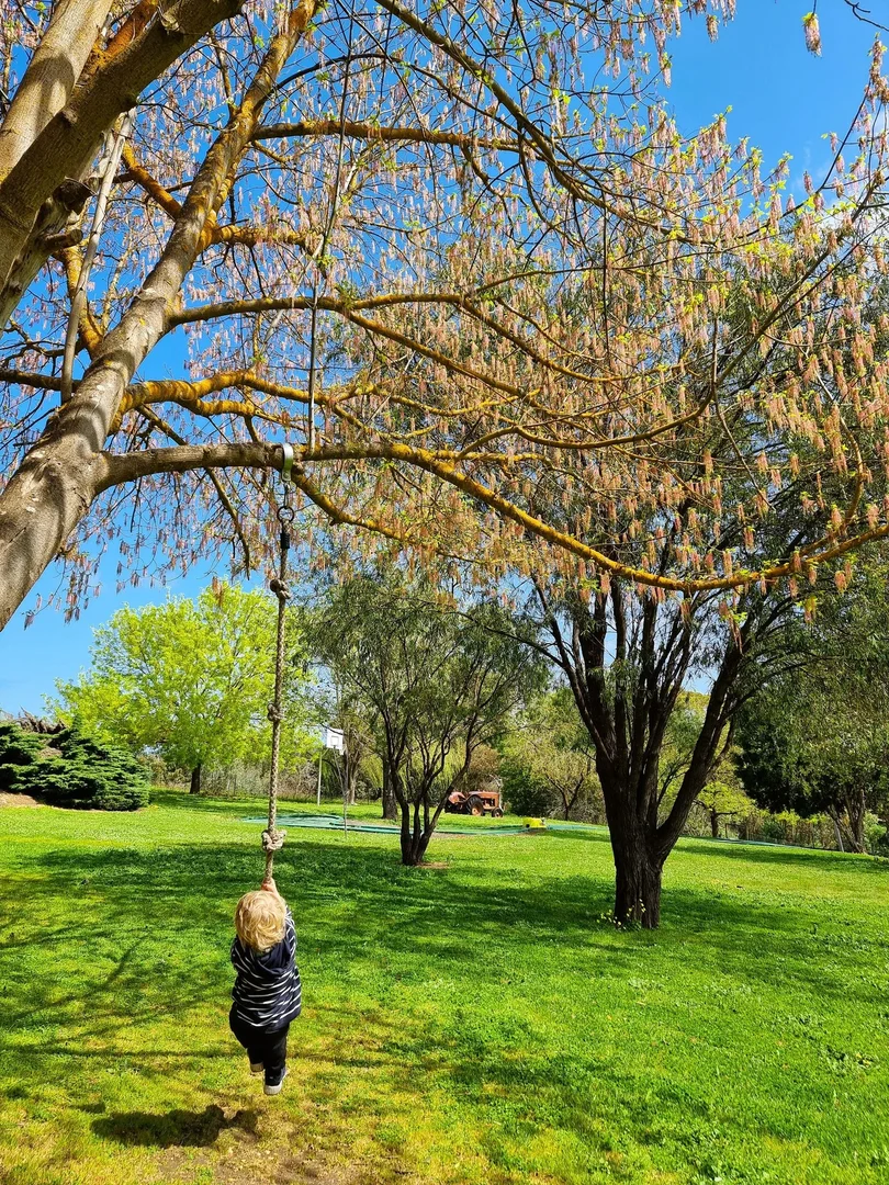 Additional image 5 of 10 DOUST STREET, Bridgetown WA 6255