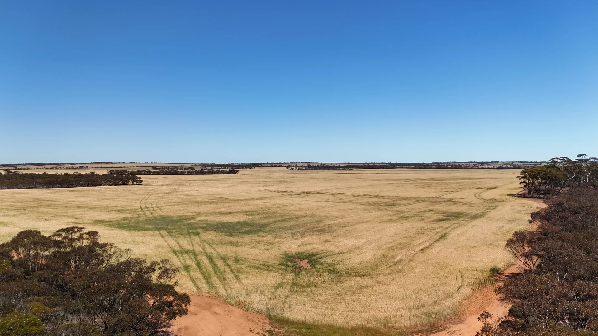 Additional image 43 of 3279 Calzoni Road, Hyden WA 6359