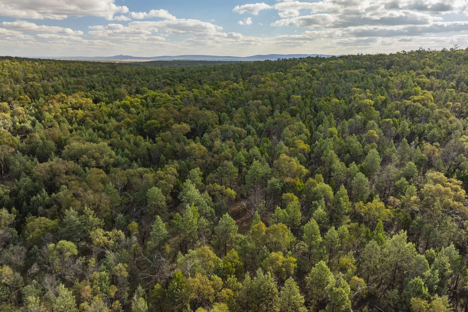 Additional image 4 of 431 The Springs Road, Rankins Springs NSW 2669