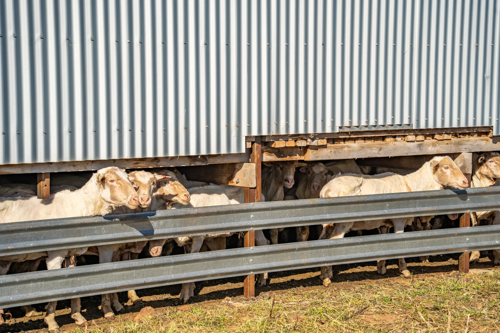 Additional image 16 of Bumbaldry Road, Greenethorpe NSW 2809