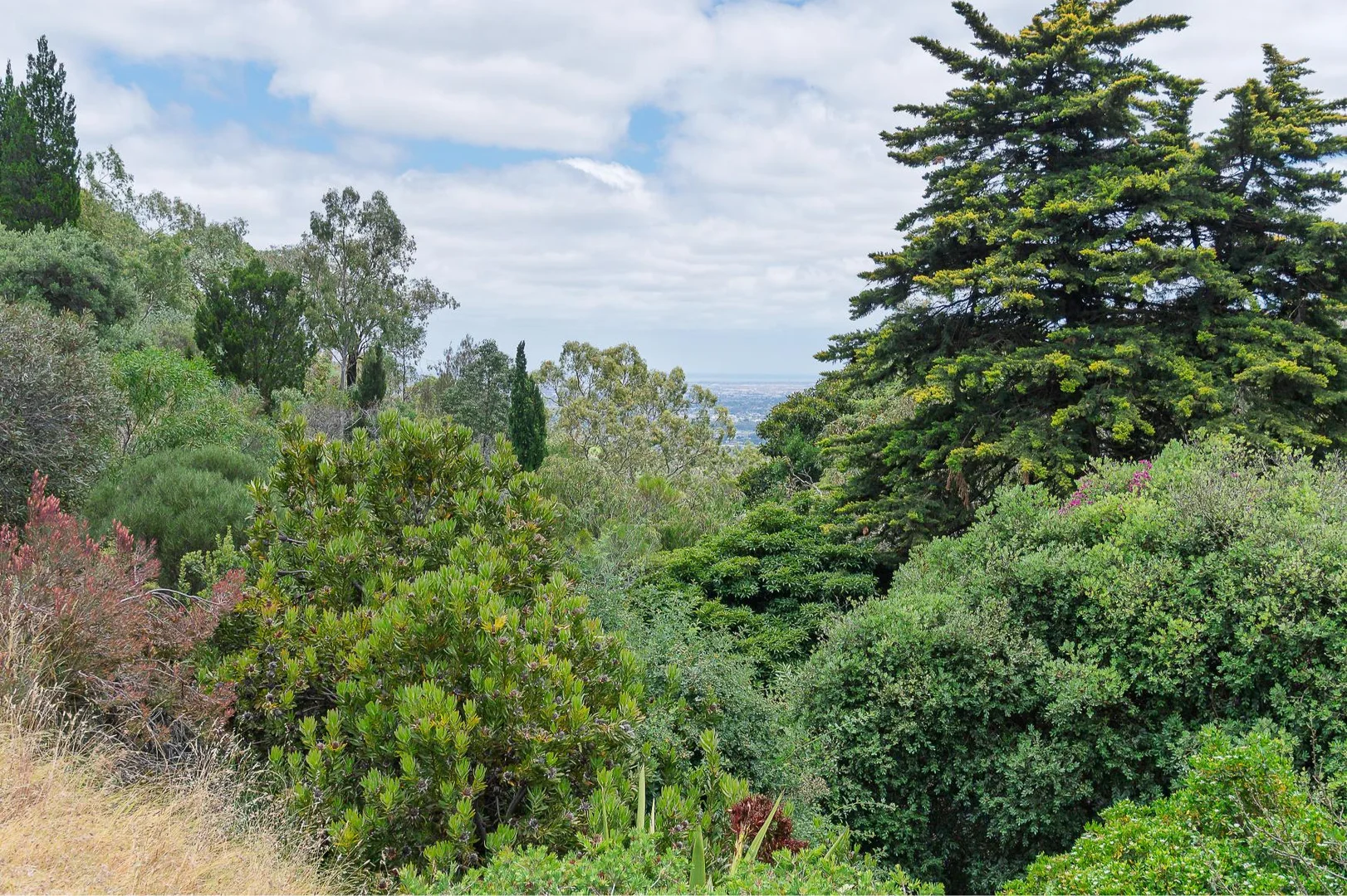 Additional image 25 of 12 Valley Drive, Teringie SA 5072