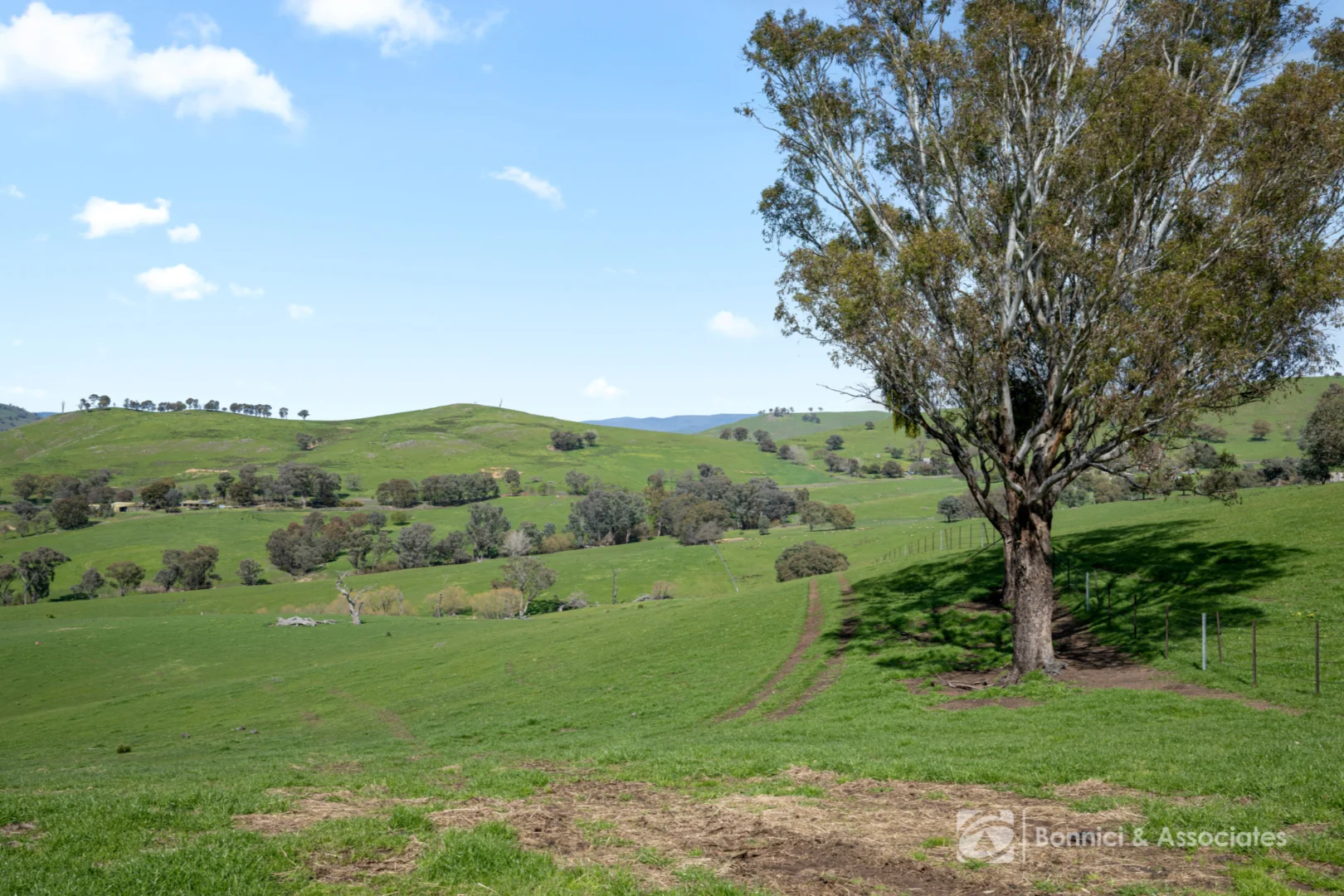 Additional image 13 of BARTLETTS Springdale Road, Bethanga VIC 3691