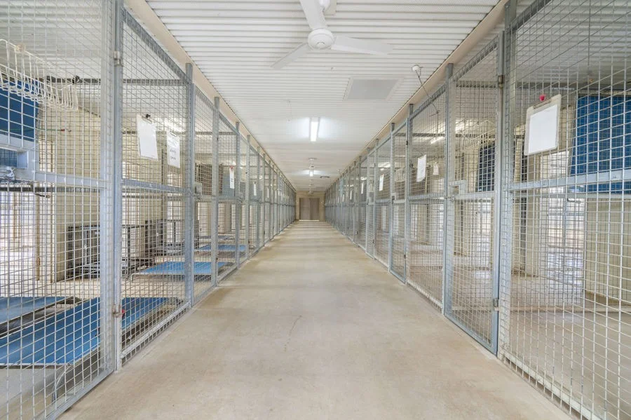 Additional image 3 of Lot 244 Huntley Road, Biarra QLD 4313