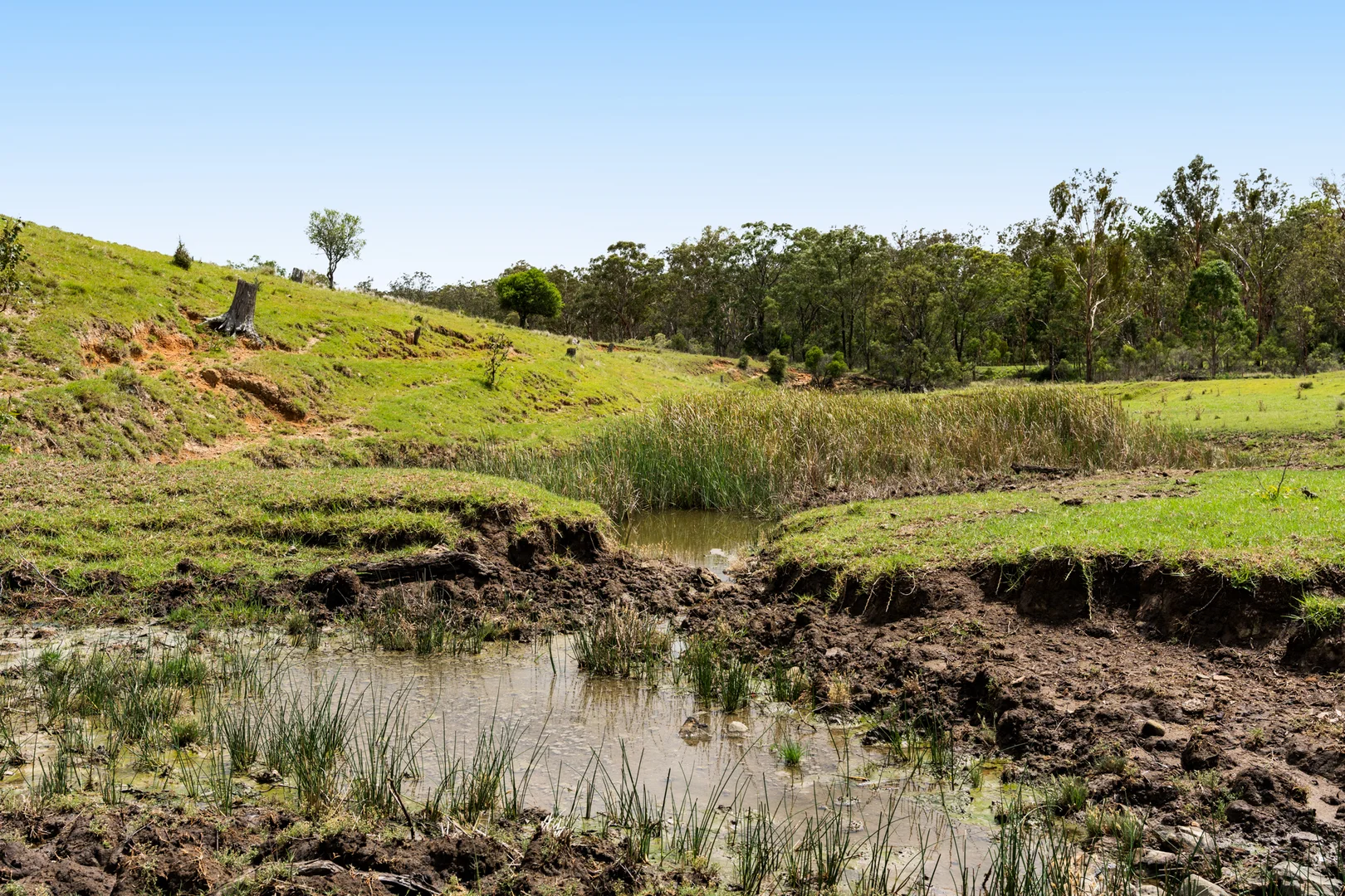 Additional image 8 of 138 Djuan Road, Crows Nest QLD 4355