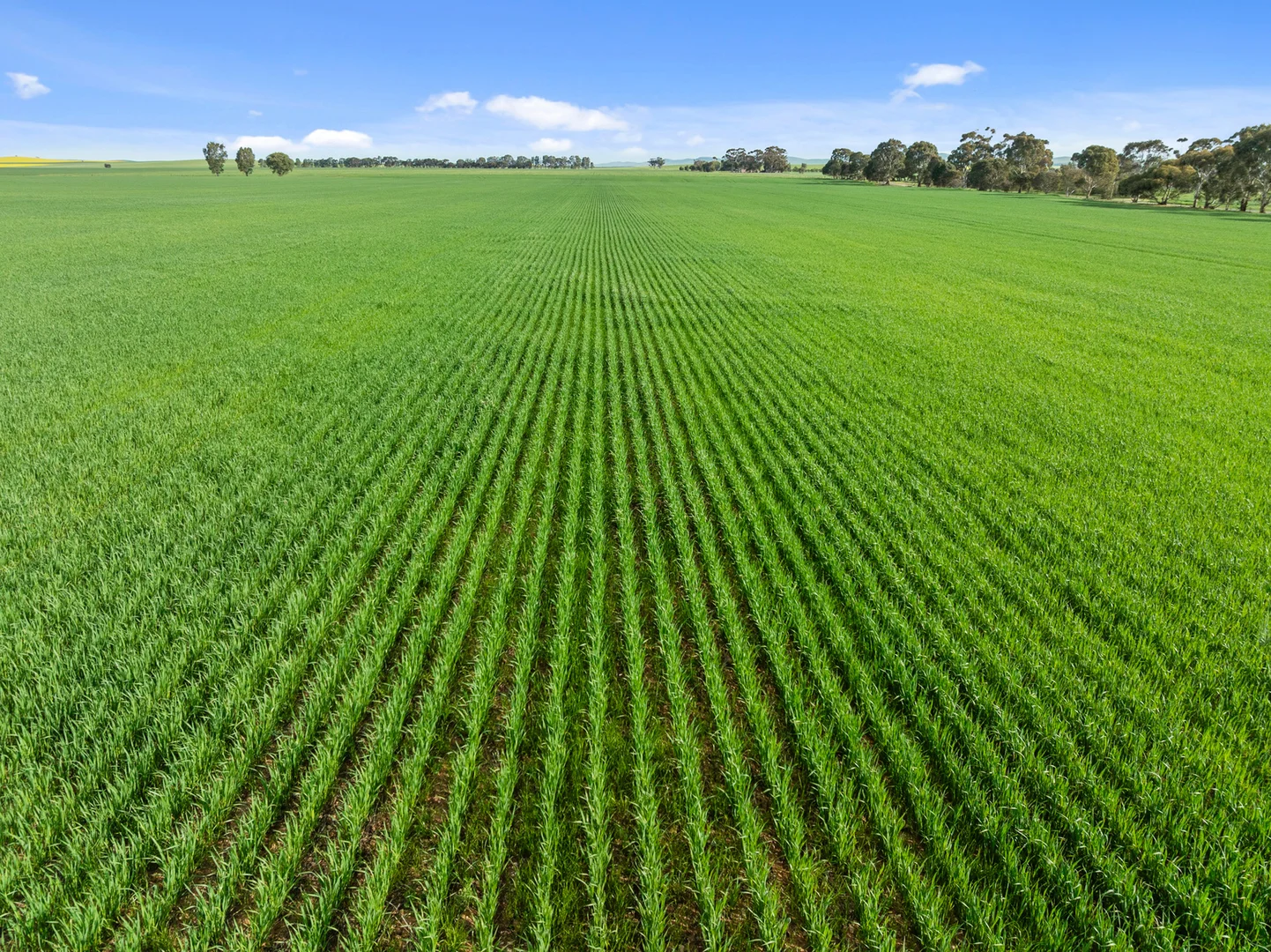 Additional image 29 of 1 Tohls Road, Booborowie SA 5417