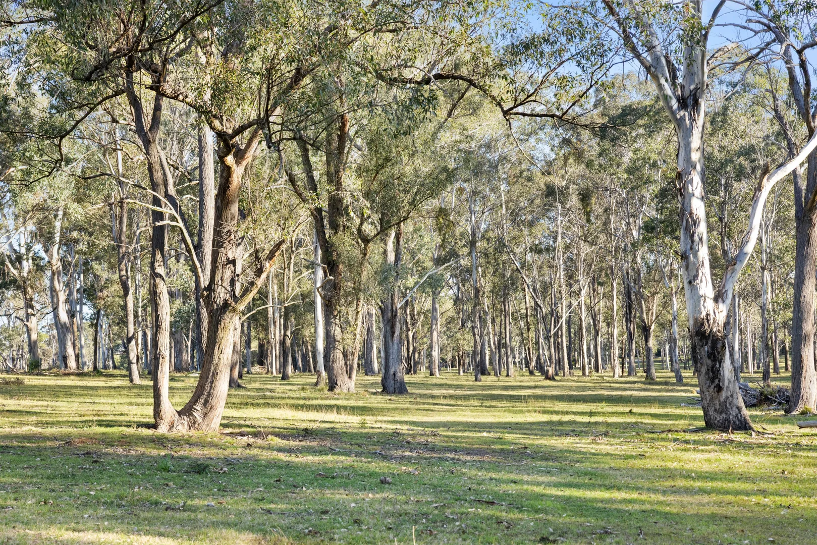 Additional image 27 of 377-379 Cobbitty Road, Cobbitty NSW 2570