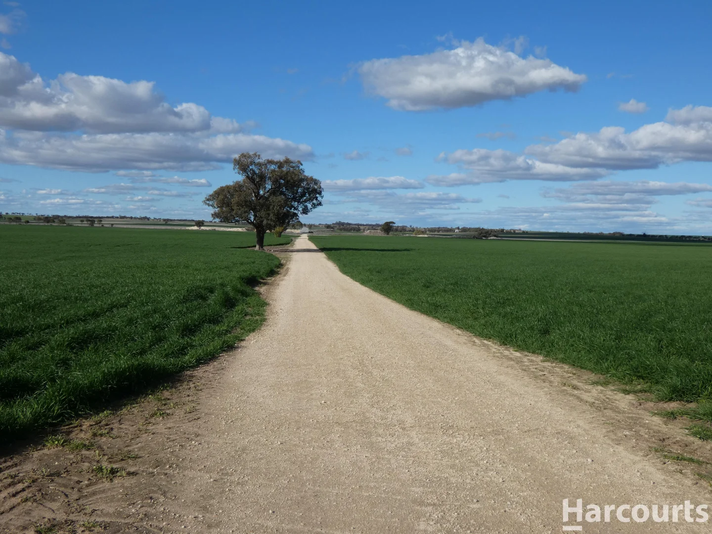 Additional image 26 of 4429 Hopetoun-Rainbow Road, Rainbow VIC 3424